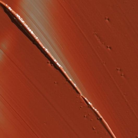 Duo brow Lami w/tint ×3